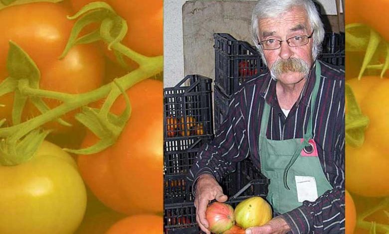 Jacky Mercier, spécialiste des variétés de tomates anciennes
