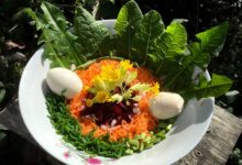 Salade crudités aux feuilles et fleurs de primevère