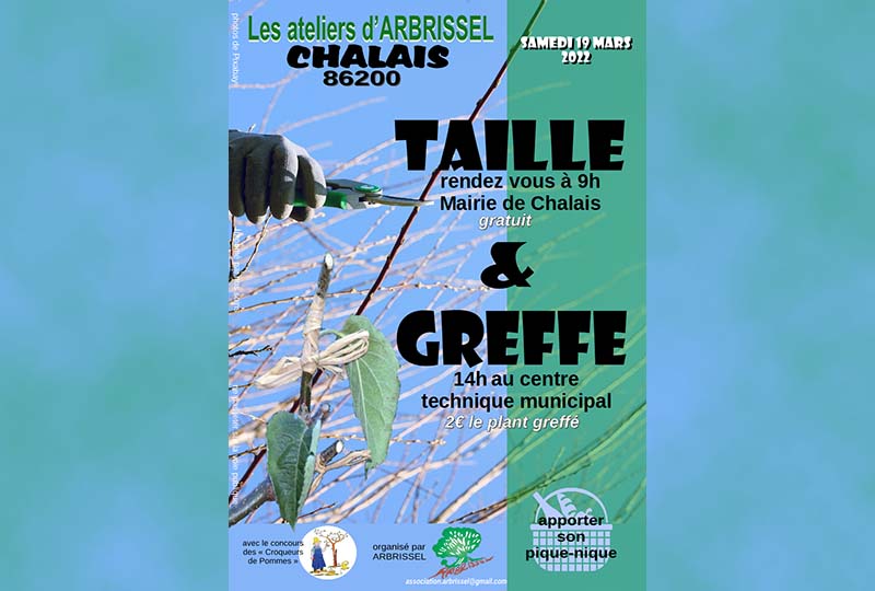 Journée Taille et greffe sur les arbres fruitiers