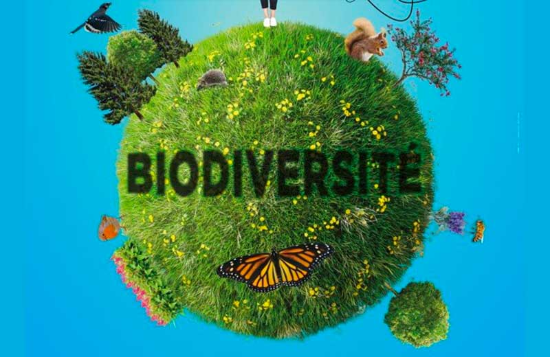 Biodiversité et actions d'ARBRISSEL en faveur de l'environnement loudunais
